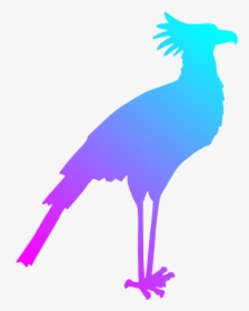 Beak,bird,feather - Clipart Bird Silhouette Color Pink, HD Png Download, Free Download