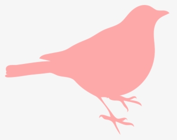 Red Bird Silhouette Png, Transparent Png, Free Download