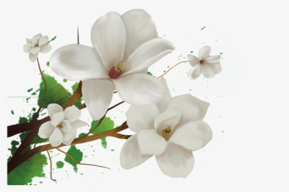 Jasmine Flower Png - Transparent Background Jasmine Flower Png, Png Download, Free Download
