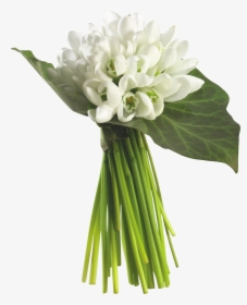 White Bouquet Png - Jasmine And Lily Flower Bouquets, Transparent Png, Free Download