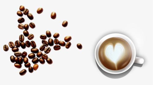 Transparent Espresso Clipart - Coffee Bean, HD Png Download, Free Download