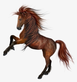Beautiful Horse Png, Transparent Png, Free Download