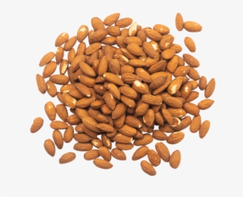 Almonds - Superfood, HD Png Download, Free Download
