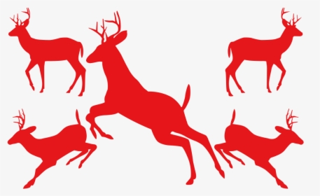 Reindeer Moose Vector Graphics Image - Deer Brush Photoshop, HD Png Download, Free Download
