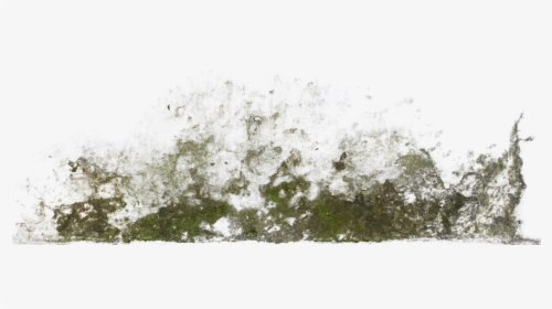 Decalbottom0024 1 S - Moss Alpha Texture, HD Png Download, Free Download