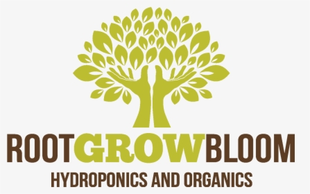 Root Grow Bloom - Montessori School Of Milton, HD Png Download, Free Download
