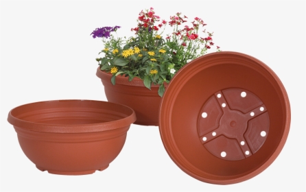 Bulb Bowls - Flowerpot, HD Png Download, Free Download