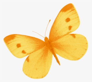 Yellow Butterfly Png By Heemi - Free Images Yellow Butterfly, Transparent Png, Free Download