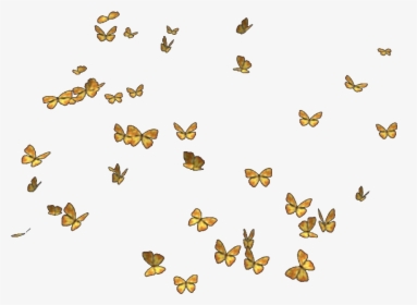 Transparent Yellow Butterfly Png - Transparent Yellow Butterflies Png, Png Download, Free Download