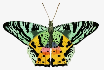 Nature Clipart Butterfly - Schmetterling Clipart Grün, HD Png Download, Free Download