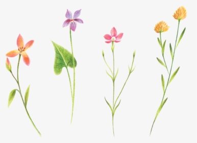 Petite Flower Tattoos, HD Png Download, Free Download