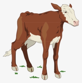 Brown And White Baby Cow Svg Clip Arts - Cows In Animal Farm, HD Png Download, Free Download