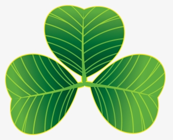 St Patricks Day Shamrocks Png Clipart - Saint Patrick's Day, Transparent Png, Free Download