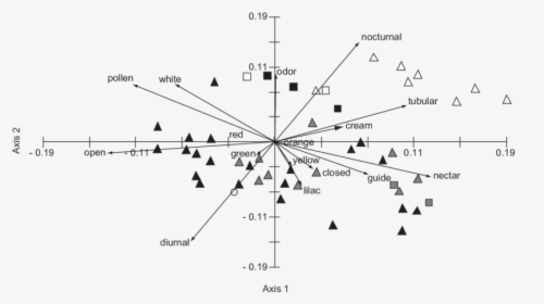 Diagram, HD Png Download, Free Download
