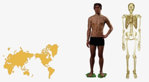 Barechested, HD Png Download, Free Download
