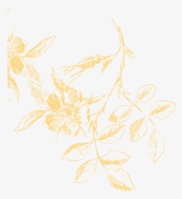 Florais Png, Transparent Png, Free Download