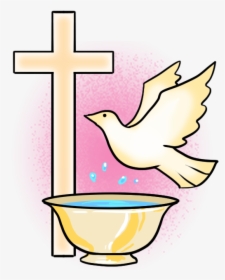 Image Result For Symbols - Baptism Symbols, HD Png Download, Free Download