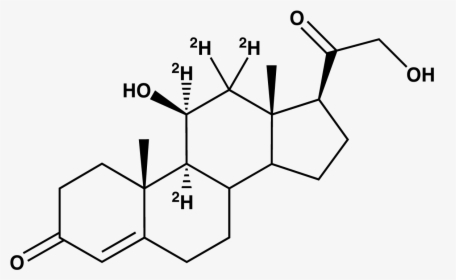 Corticosterone [9,11,12,12 D4] - Cyclopentanoperhydrophenanthrene Ring, HD Png Download, Free Download