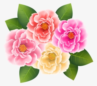 Pink Rose Clipart Japanese Rose - Clip Art Camellia Transparent Background, HD Png Download, Free Download