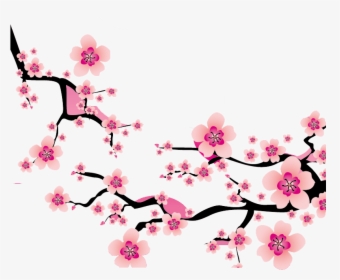 Sakura Blossom Clipart Plum Flower - Bunga Sakura Png, Transparent Png, Free Download