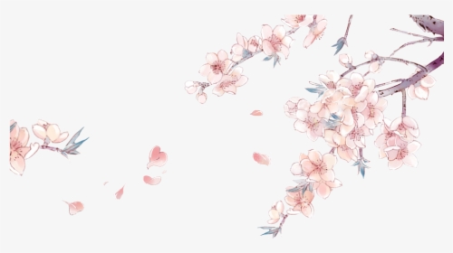 Drawn Cherry Blossom China - Imagenes De Flores Anime, HD Png Download, Free Download