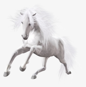 Running White Horse Png, Transparent Png, Free Download