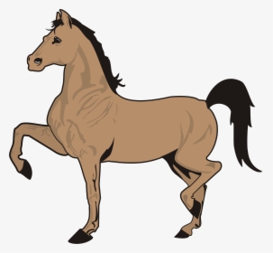 Running Horse Clip Art Black And White - Horses Drawing With Color, HD Png Download, Free Download