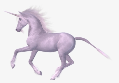 White Horse, Magic Horse, Unicorn, Fairy - Unicorn With White Background, HD Png Download, Free Download