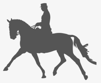 Horse Clip Equestrian - Dressage Silhouette Png, Transparent Png, Free Download