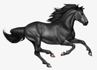 Mare - Horse Mustang Png, Transparent Png, Free Download