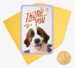 25 - Thank You Puppy, HD Png Download, Free Download