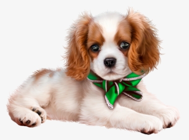 Clipart Cavalier King Charles Spaniel Transparent, HD Png Download, Free Download