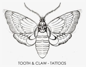 Tumblr Tribal Forearm Tattoo 2015