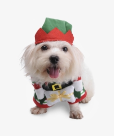 Cute Pet Dog Cat Clothes Christmas Fancy Costume Funny - Dog Christmas Costumes Transparent, HD Png Download, Free Download