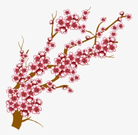 Transparent Cherry Blossoms Clipart - Draw Cherry Blossom Branch, HD Png Download, Free Download