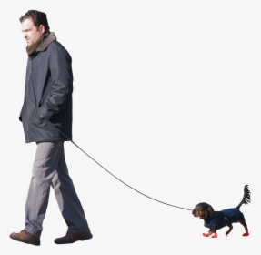 Transparent Walking Dog Png - Person Walking Dog Png, Png Download, Free Download