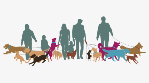Illustration Of Dog Walkers - Dog Walk, HD Png Download, Free Download