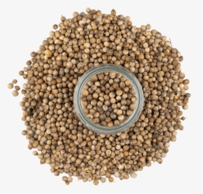 Coriander, HD Png Download, Free Download