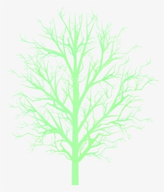 Bare Tree Png Bare Tree Branc - Darkness, Transparent Png, Free Download