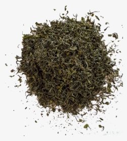 Transparent Tea Leaf Png - Dried Green Tea Leaves Png, Png Download, Free Download