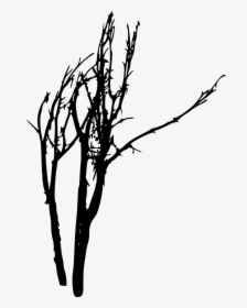 Free Png Bare Tree Silhouette Png Images Transparent - Dead Tree Silhouette Png, Png Download, Free Download