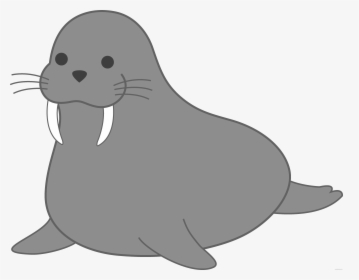 Walrus Earless Seal Clip Art Portable Network Graphics - Walrus And Seal Drawing, HD Png Download, Free Download