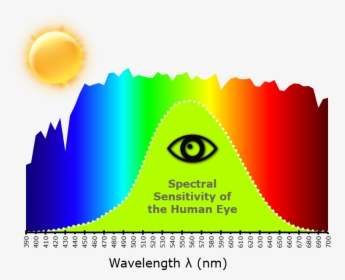 Transparent Human Eye Png - Visible Spectrum Eye Sensitivity, Png Download, Free Download