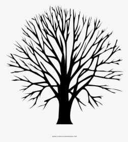 Bare Tree Coloring Page - Apache Directory Logo, HD Png Download, Free Download
