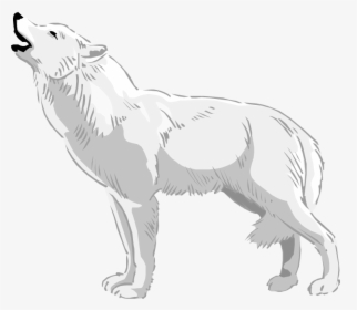 Wolves Clipart Real Wolf White Wolf Clipart- - White Wolf Howl Png, Transparent Png, Free Download