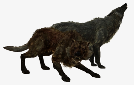 Elder Scrolls - Skyrim Wolf, HD Png Download, Free Download