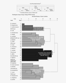 Dendrogram Based On R-mode Cluster Analysis By Means - Cluster Analysis Dendrogram Spss, HD Png Download, Free Download