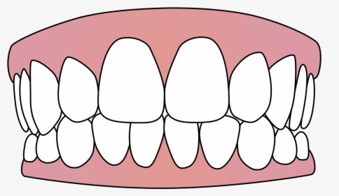 Free Vector Download Png Tooth - Teeth Svg, Transparent Png, Free Download