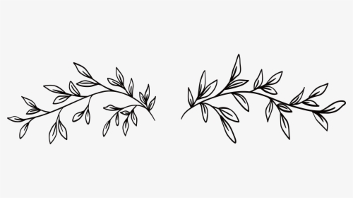 Black And White, Line Art, Watercolor Painting, Flora - Black And White Vine, HD Png Download, Free Download