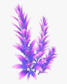 Purple Stalk Flora - Subnautica Flower, HD Png Download, Free Download